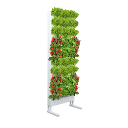 Zielona ściana stojąca z 36 roślinami - Rama stalowa 2x9 PG14 Biała/Czarna